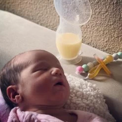 Haakaa Gen 2 Silicone Breast Pump With Suction Base 100ml -Home Sales Store 96