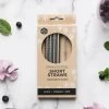 Ever Eco Short Stainless Steel Straw – 4 Pack + Brush