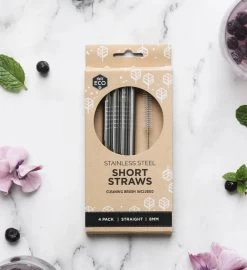 Ever Eco Short Stainless Steel Straw – 4 Pack + Brush