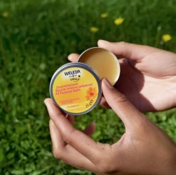 Weleda Calendula All Purpose Balm -Home Sales Store Weleda calendula all purpose balm 1