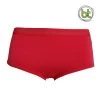 Bamboo Textiles Boyleg Briefs